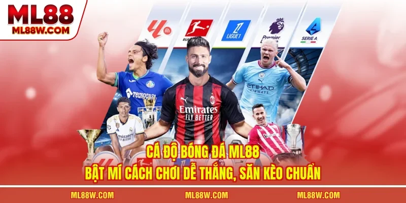 Cá Độ Bóng Đá ML88
