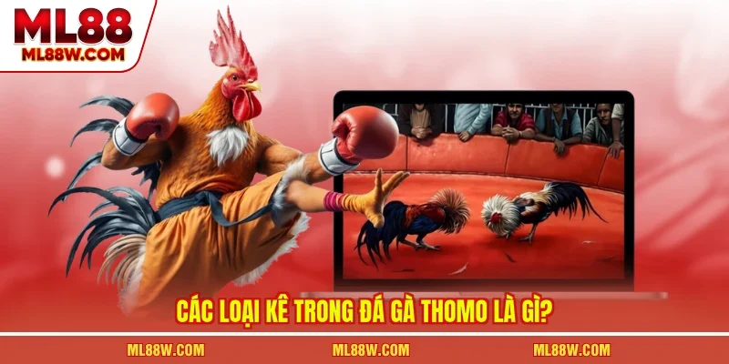 Các loại kê trong đá gà Thomo là gì?
