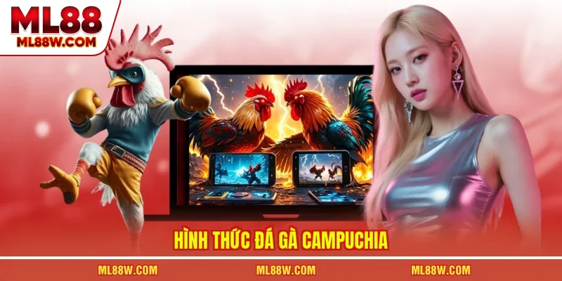 Hình thức đá gà Campuchia