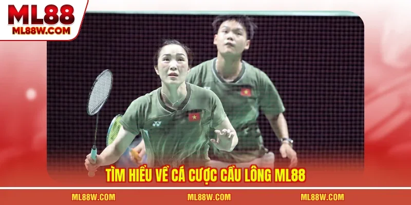 Tìm hiểu về cá cược cầu lông ML88