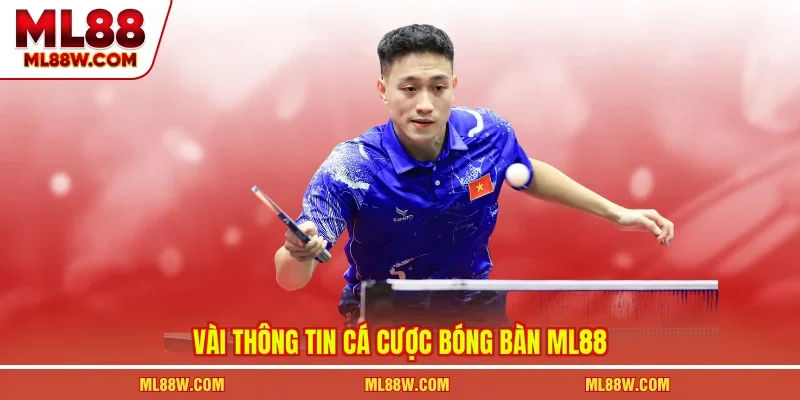 Vài thông tin cá cược bóng bàn ML88